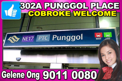 Blk 302A Punggol Place (Punggol), HDB 4 Rooms #159678702